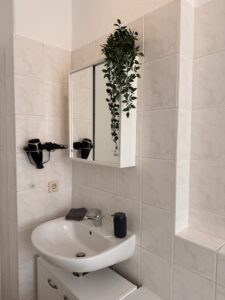 Waschbecken und Spiegelschrank in einem hell gefliesten Badezimmer