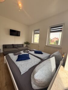 Wohn- und Schlafraum mit Doppelbett, Sofa und Fernseher